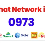 0973 What Network
